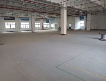 惠阳镇隆独栋全新厂房，配套齐全。。