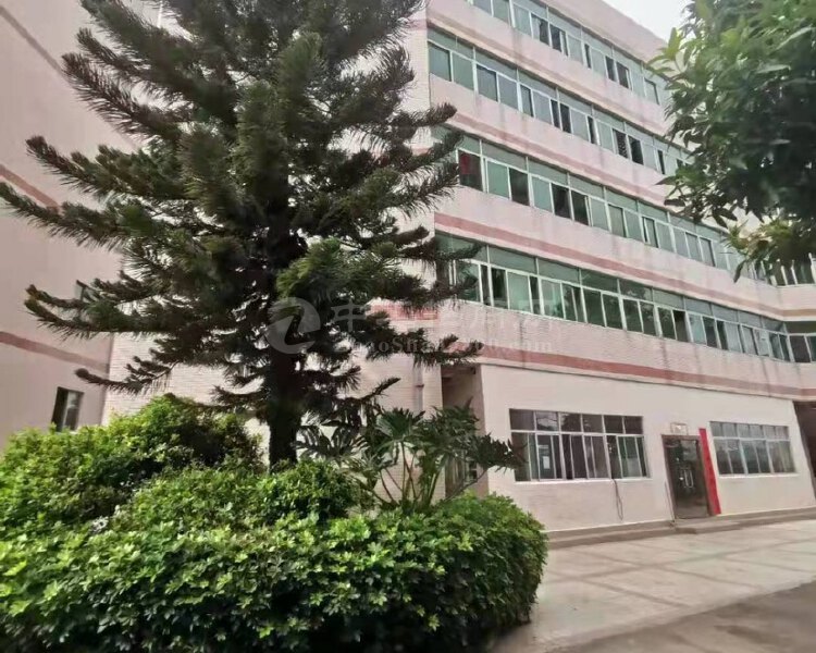 出售深圳龙岗独门独院红本双证厂房5763平方地段好招工