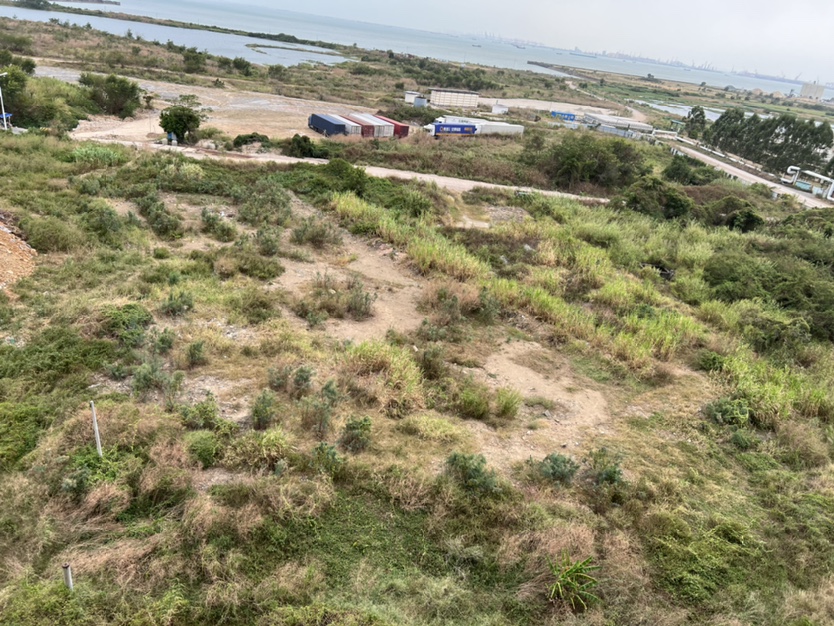 虎门沿江高速，村委空地2