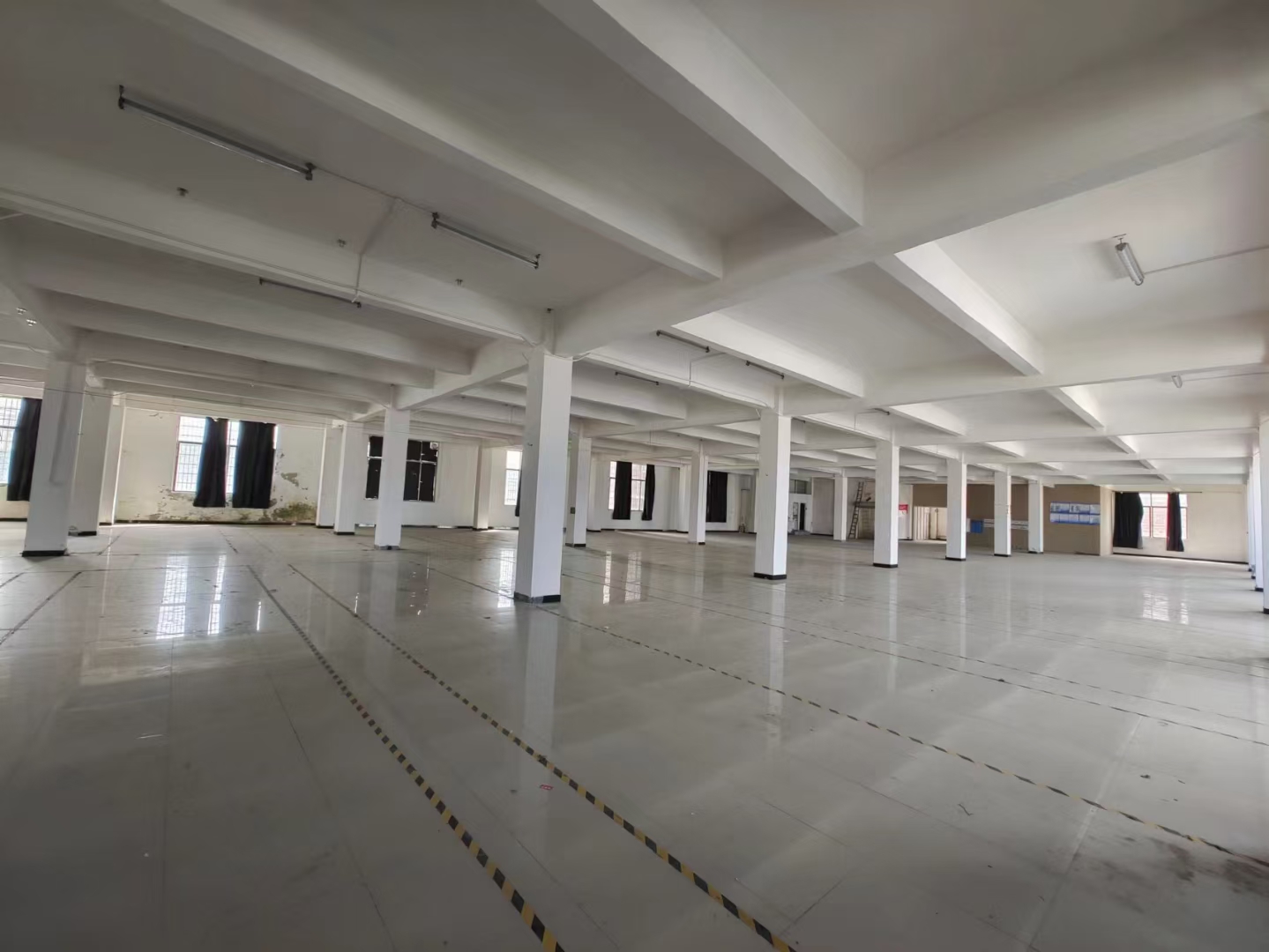 龙归夏良独院8000平方,空地2000平方,可分租