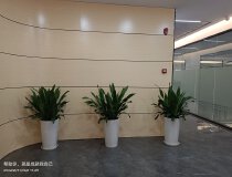 观澜竹村地铁口88平带家具精装修办公室写字楼出租