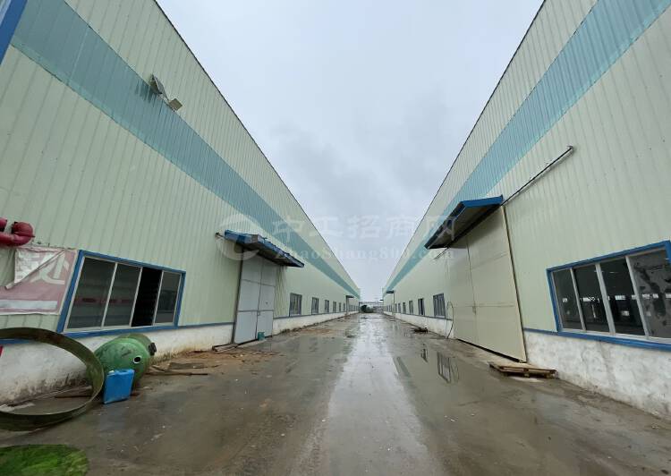 佛山顺德新出单一层厂房仓库出售面积60000平，大小可分割4