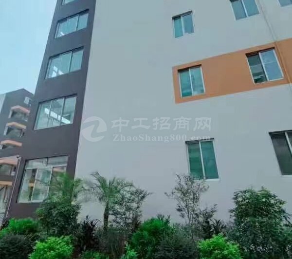 深圳独栋1至5层工业厂房及写字楼出售配套齐全4