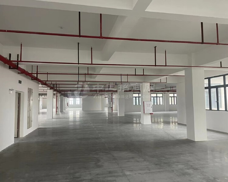 深圳独栋1至5层工业厂房及写字楼出售配套齐全