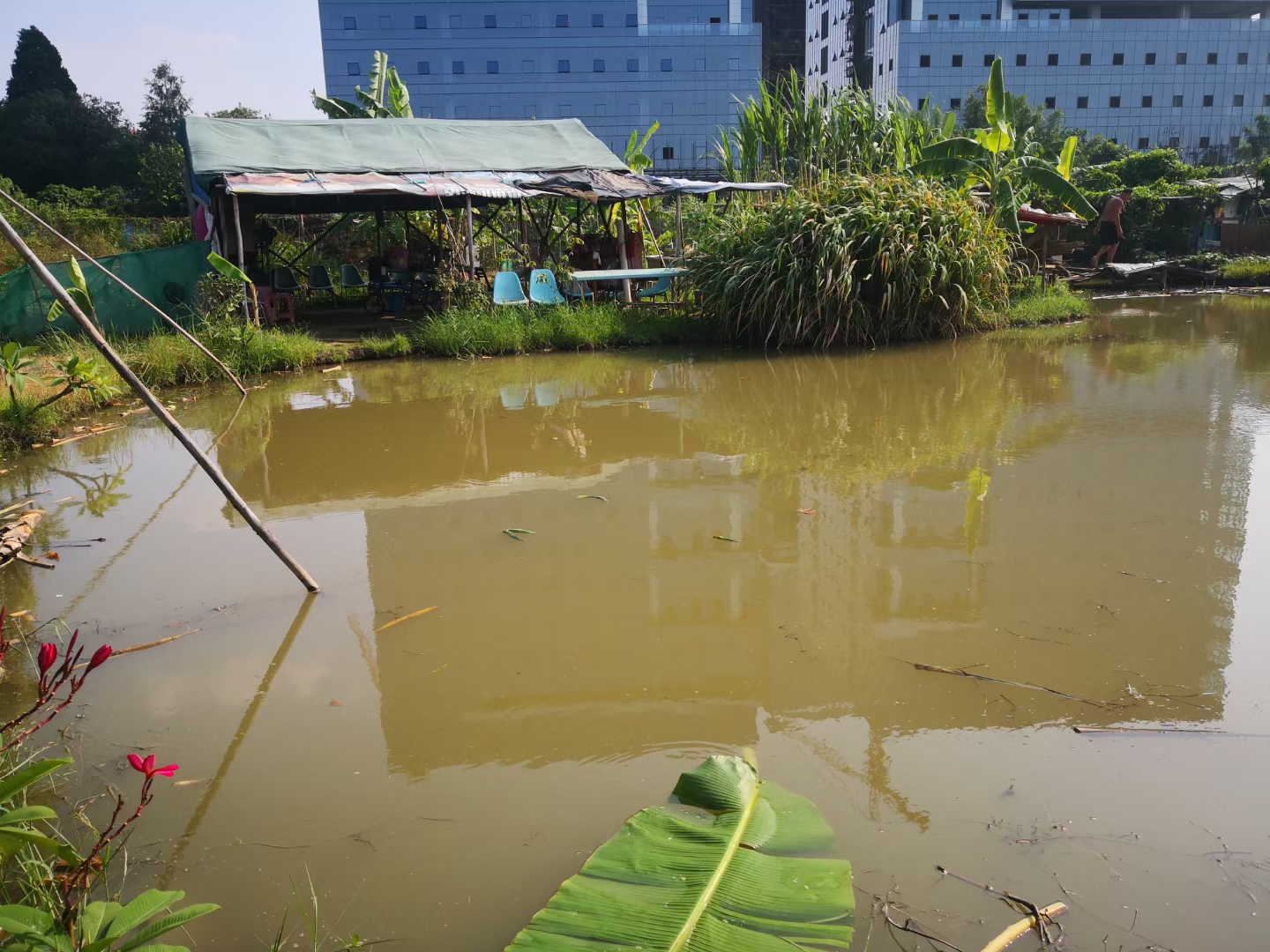 地铁站附近，江边农场土地出租2