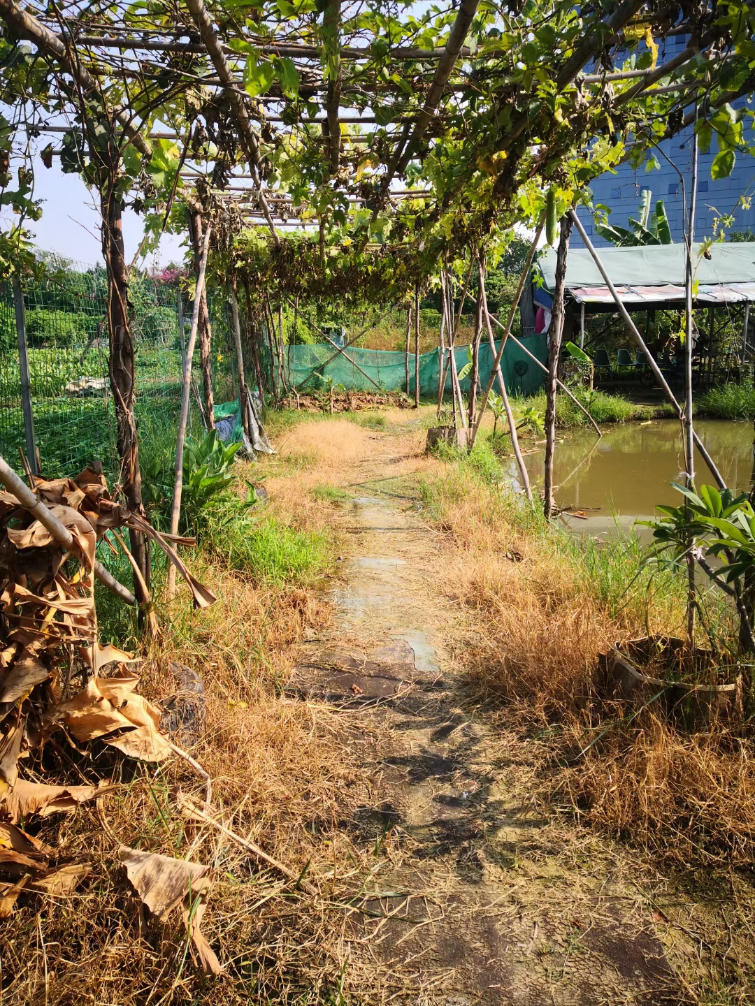 地铁站附近，江边农场土地出租1