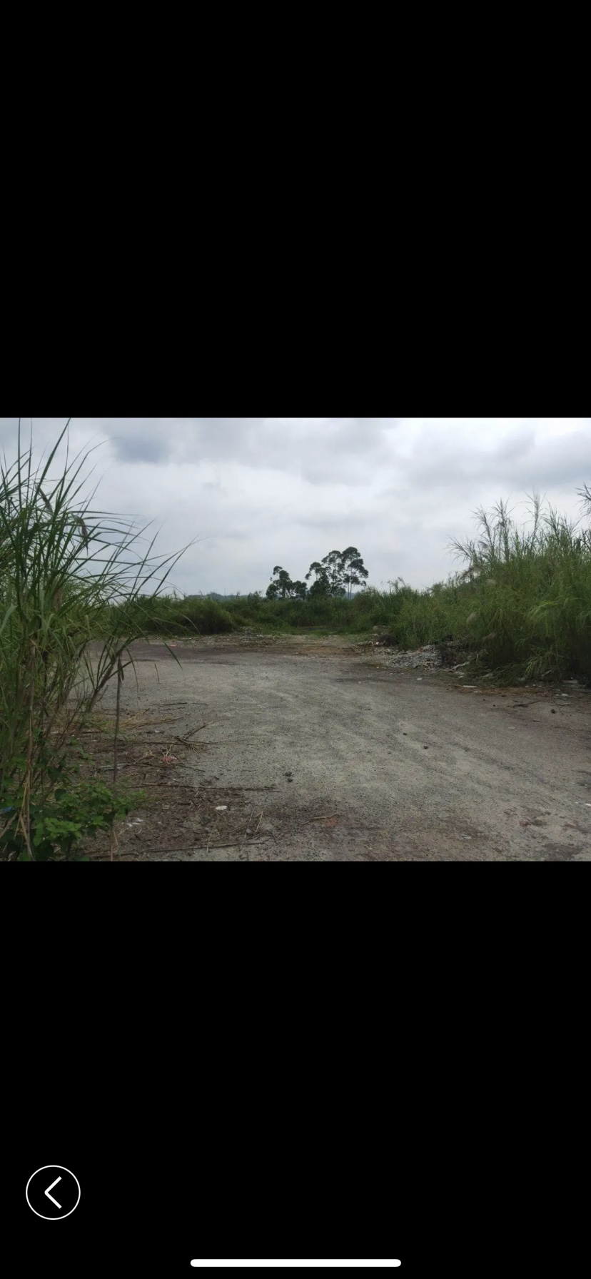 沙井北环路附近.新出空地450亩1