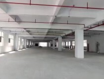 龙江工业区独门独院标准厂房2000平方平方招租