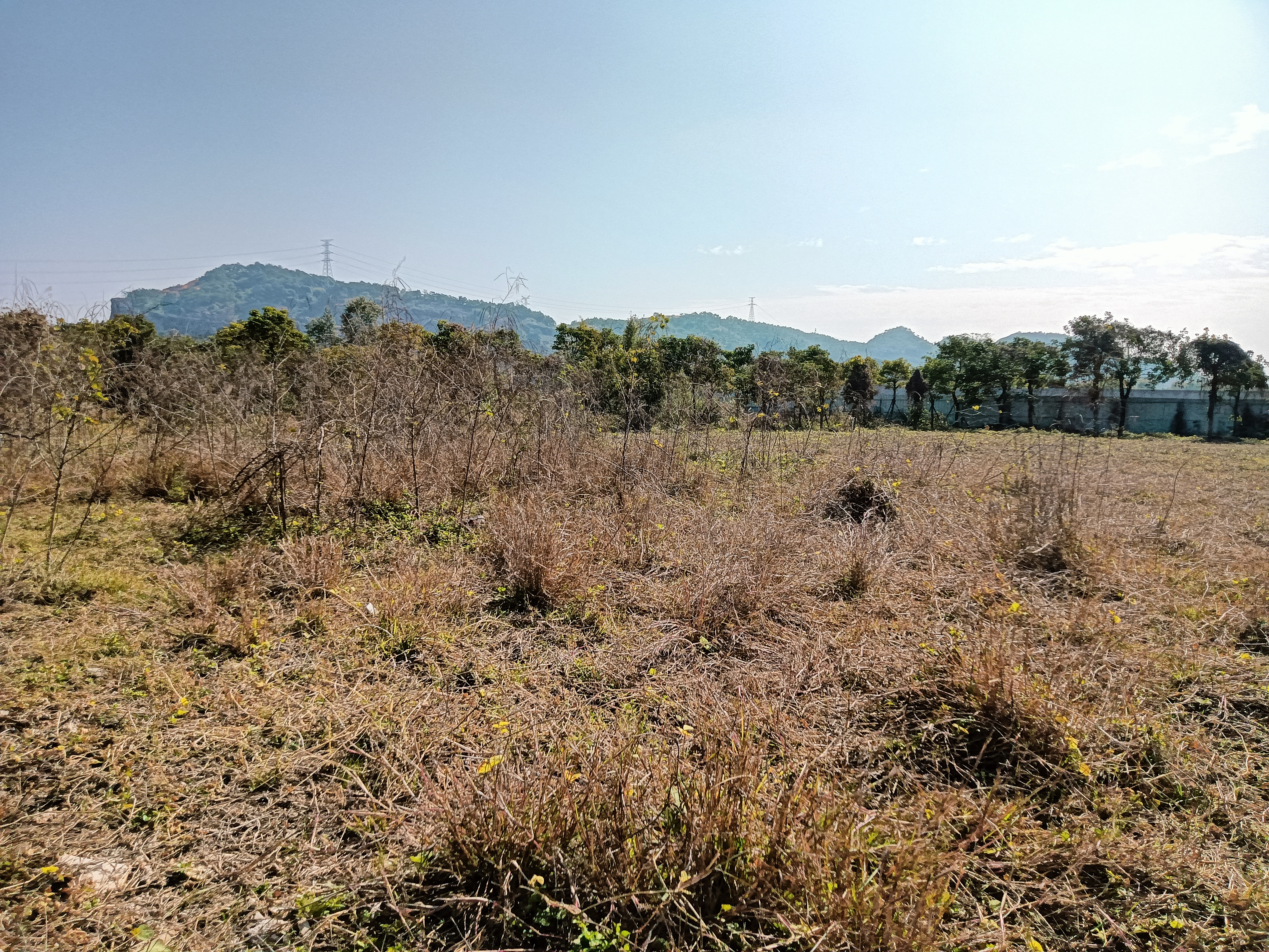 【国有双证】占地100亩，建筑13800平米，空地490001