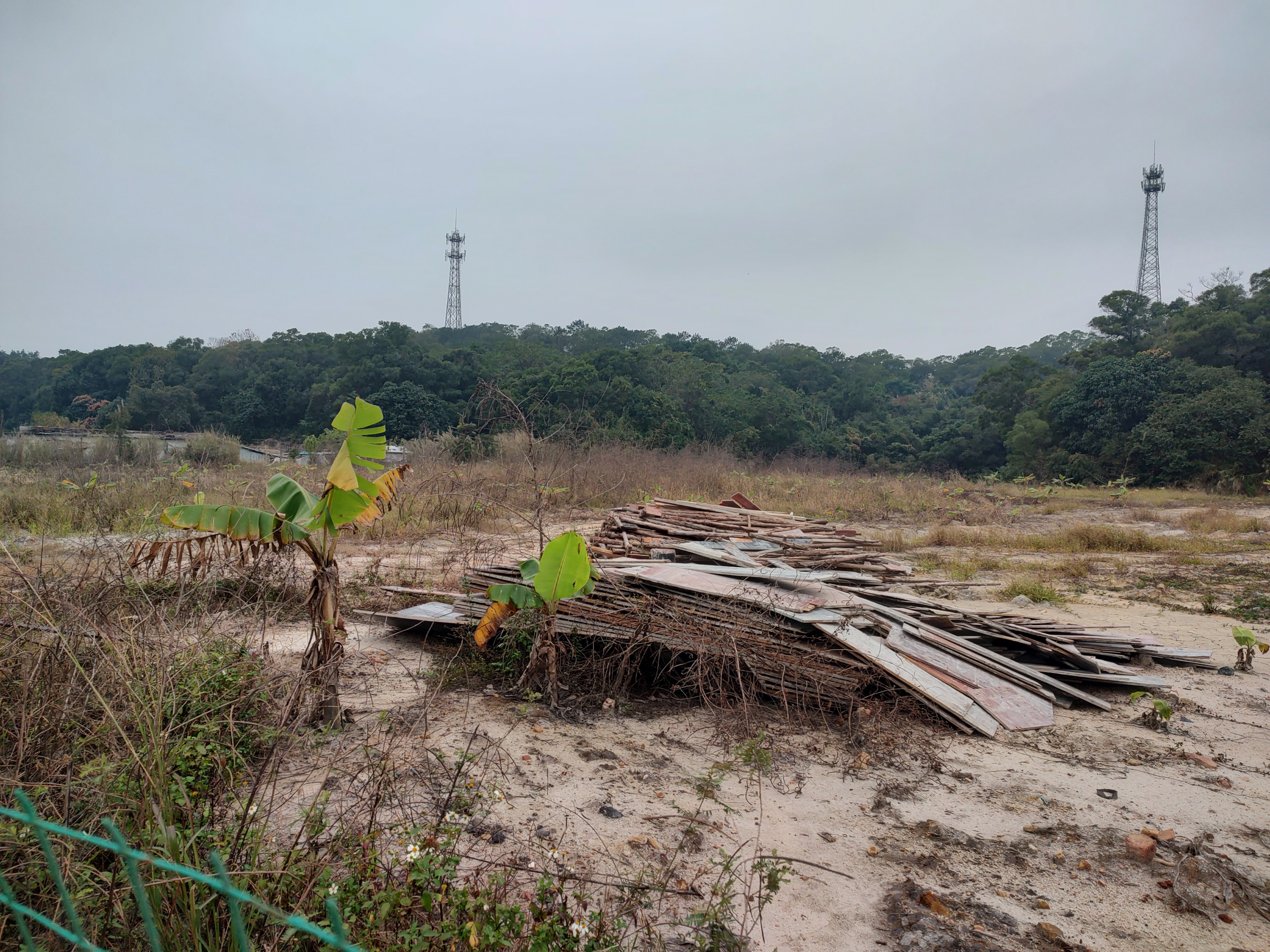 中山市南区12亩农业用地，适合花木、蔬菜农作物，价钱便宜4