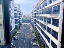 东莞东部全新50年高标红本厂房，分层按需购买1500平方起售