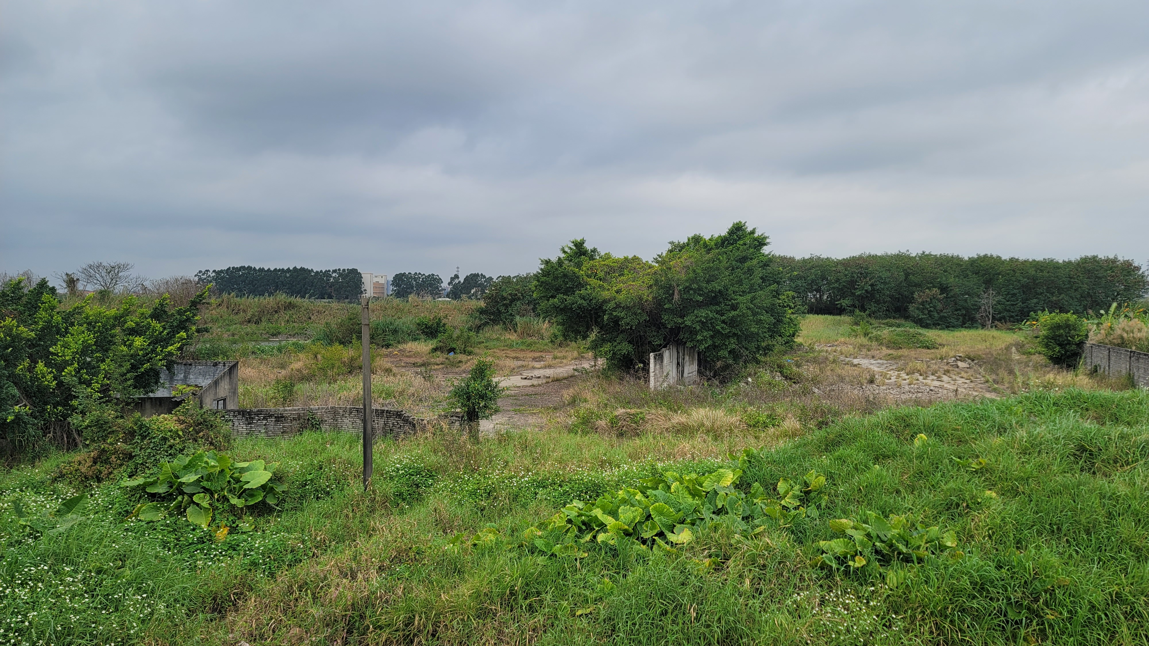 中山市三角镇15亩空地出租可搭建1