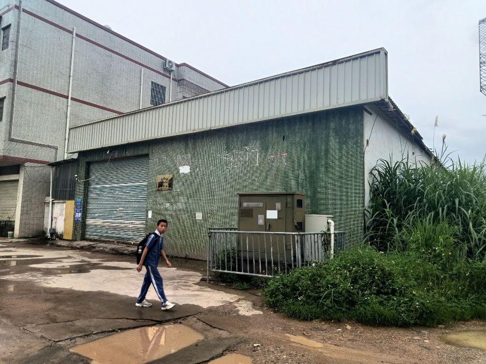 沥林镇原房东分租单一层钢构300平，适合做仓库小加工等行业