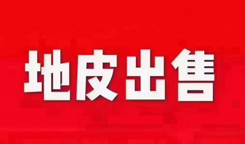 新塘新出小面积国有红本双性质土地1