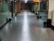 龙岗坂田地铁口零距离的1楼办公室，价格实惠，配套设施齐全。