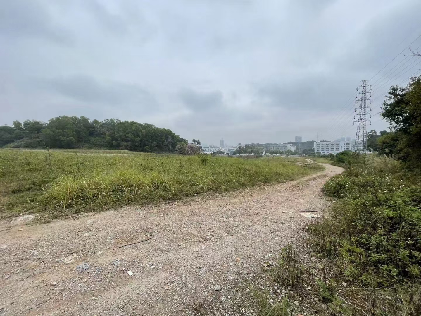 横岗沙荷路边新出空地40亩，不进岗亭，靠近盐田港！1