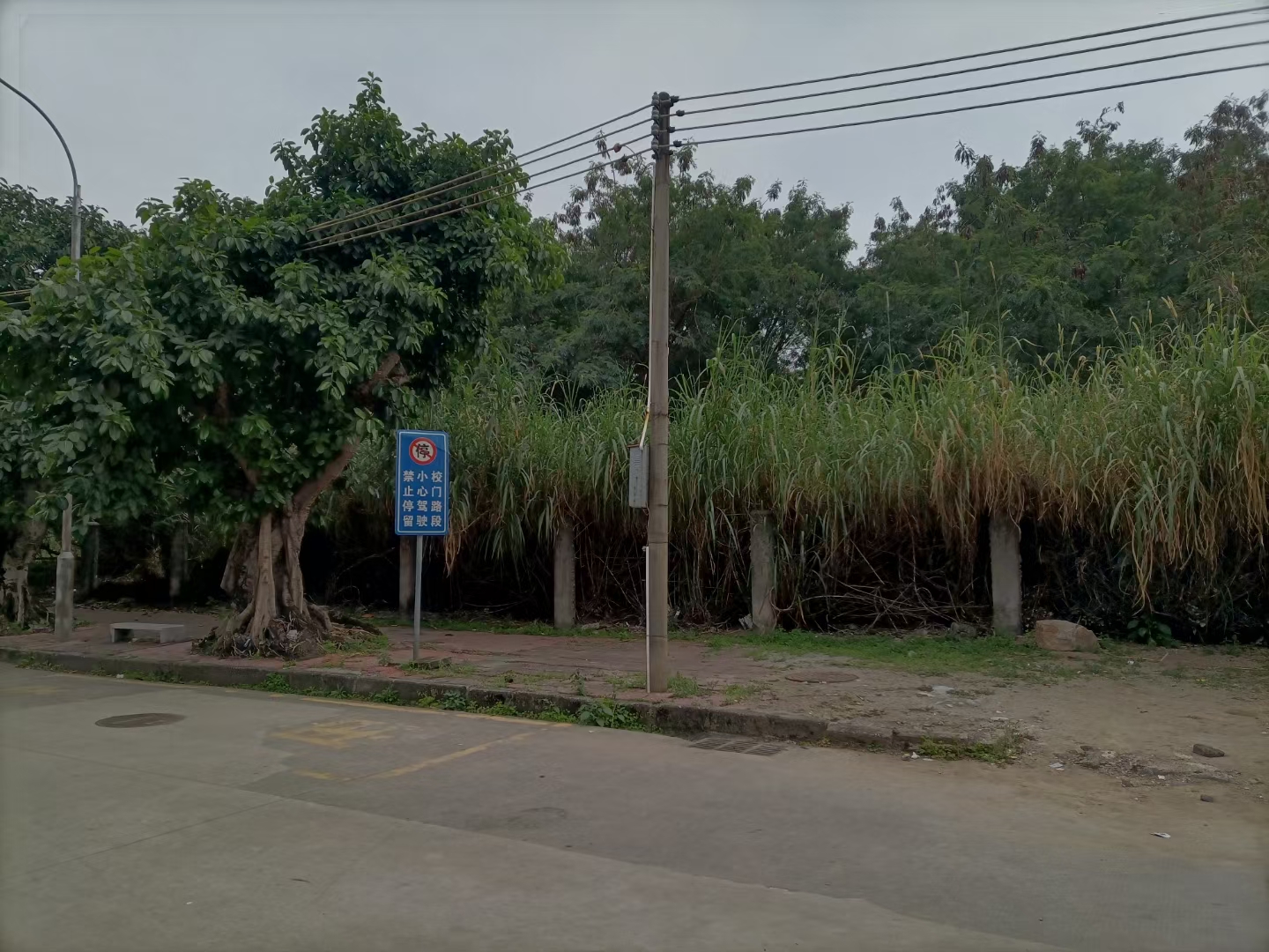 虎门沿江高速附近，空地平整，挂车随便进出2