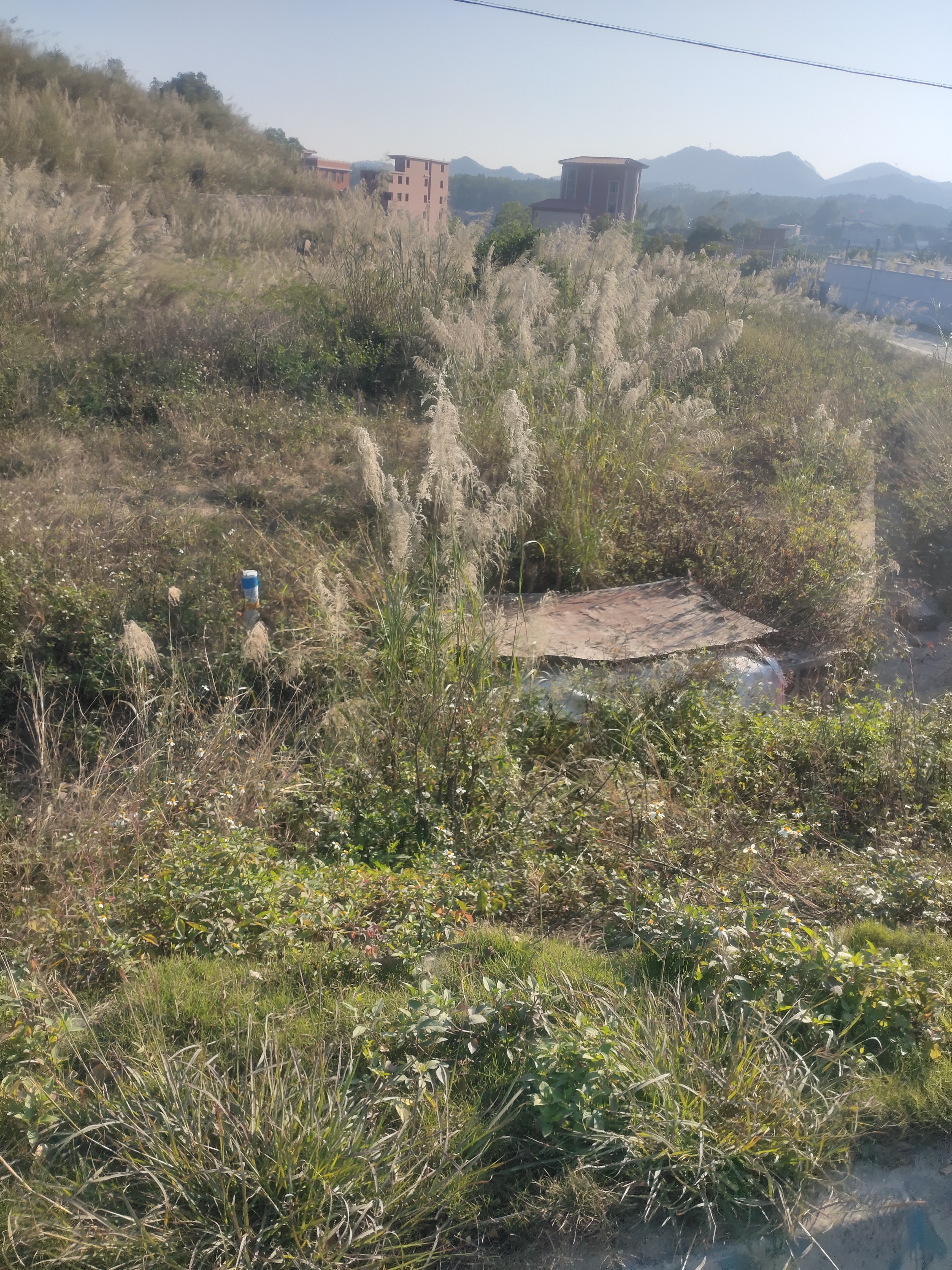 高明区明城空地出租，地理位置好2