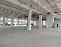 九江镇沙头最新出原房东标准楼房2000平方厂房出租
