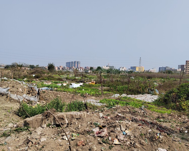 佛山南海区九江国道边地皮出售靓点投资自己用