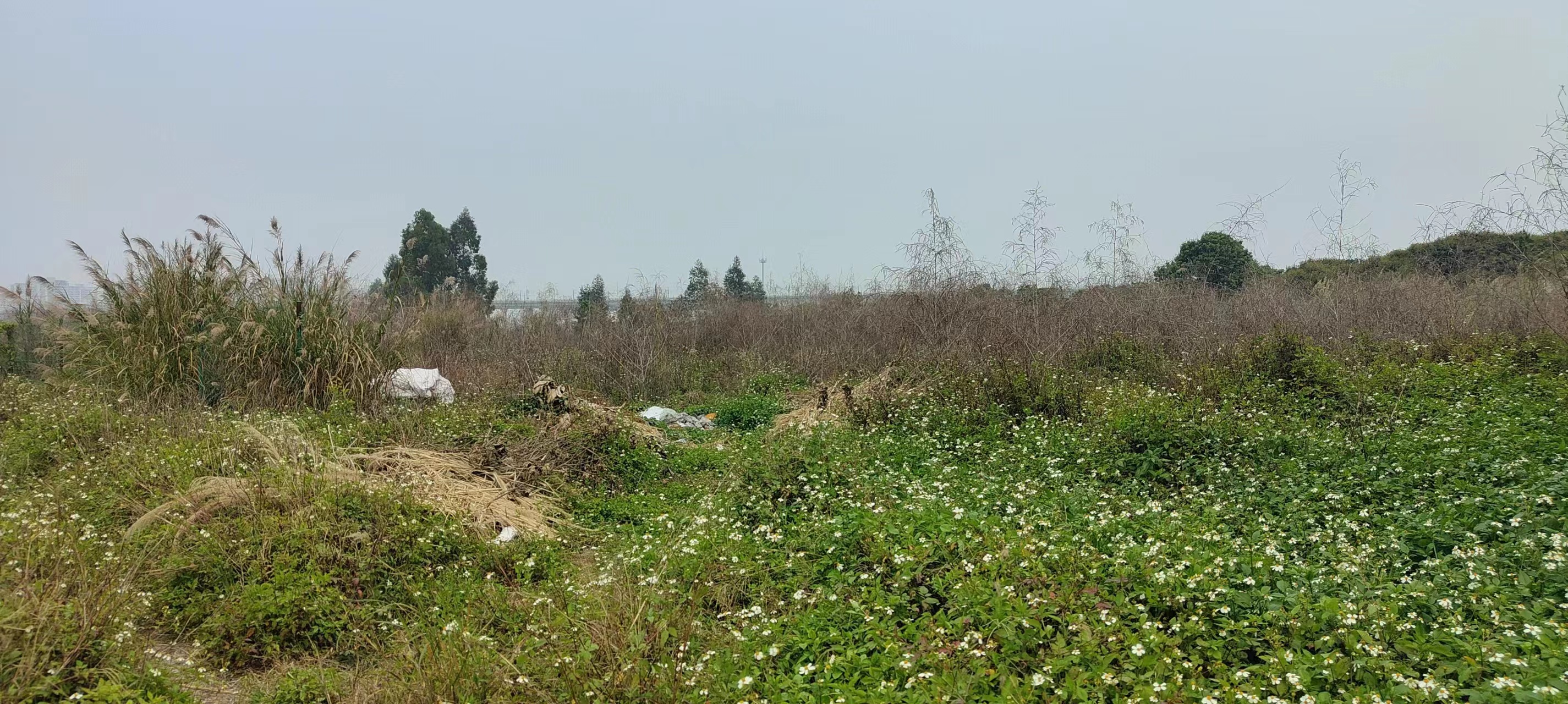 花都空地可以办厂2