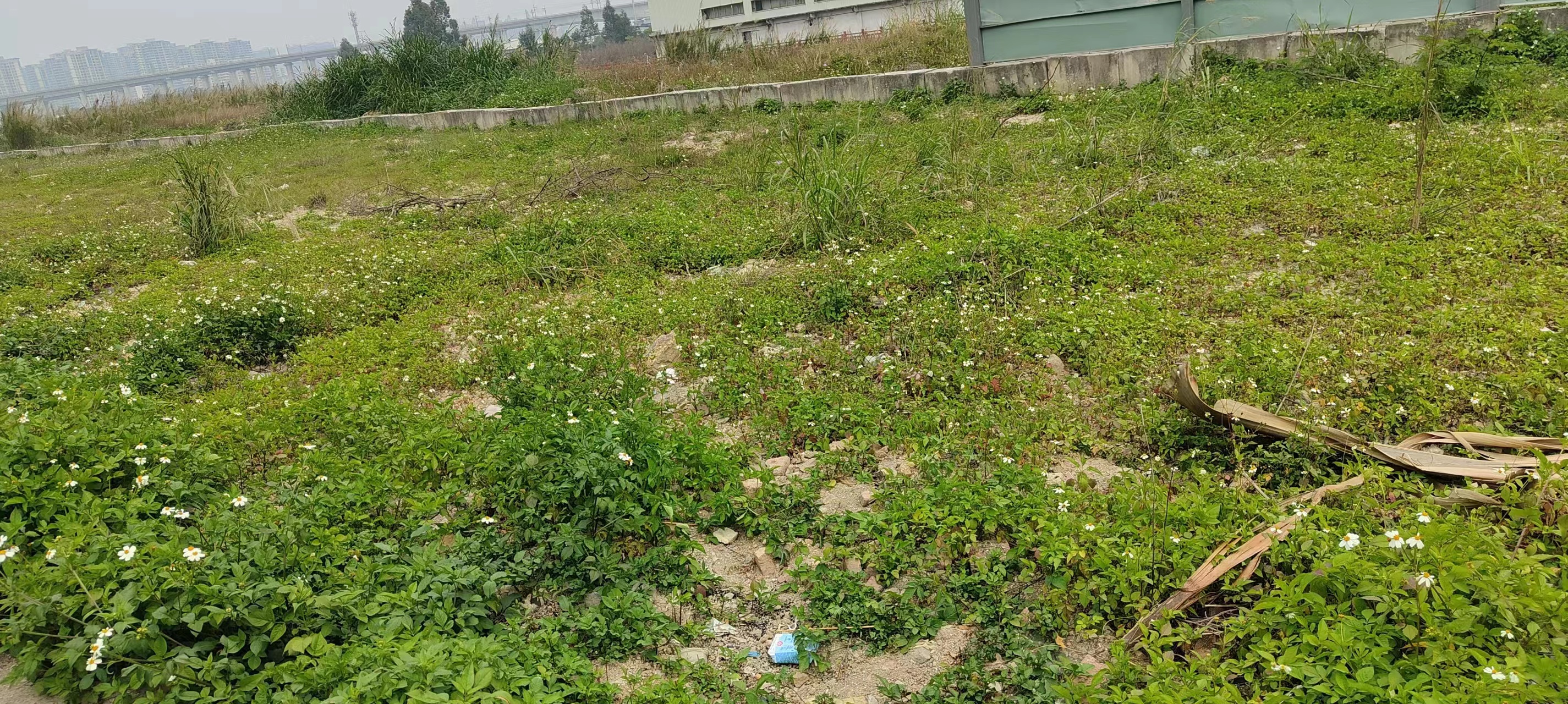 花都空地可以办厂1