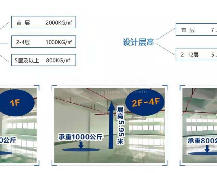 北滘工业园镇府项目可拿独立房产证500平米起分可按揭贷款-4