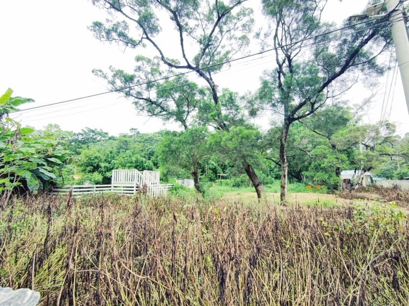 天河区珠村大灵山空地招商2