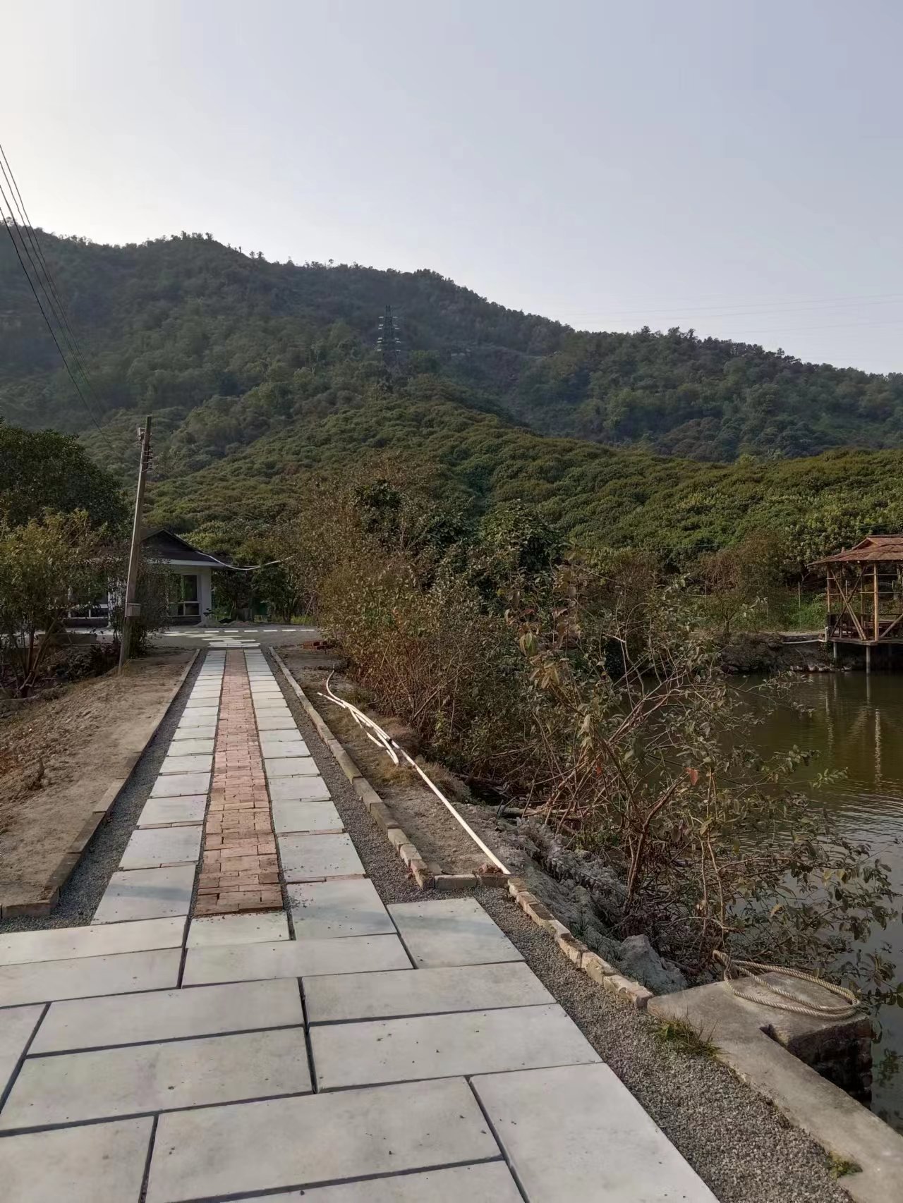 中山市板芙镇原房东农业用地招租，现成农庄凉亭鱼塘风景清静优美5