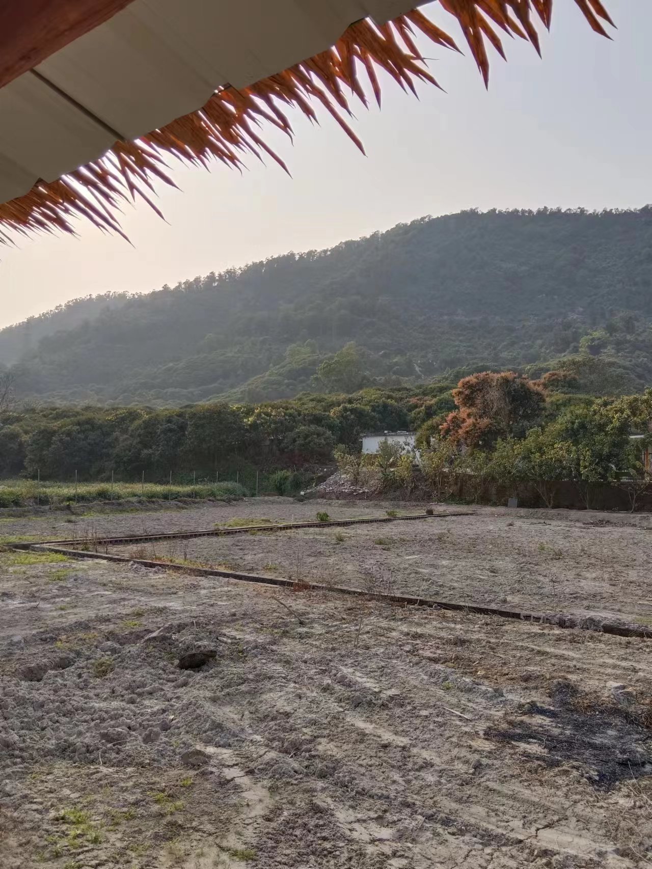 中山市板芙镇原房东农业用地招租，现成农庄凉亭鱼塘风景清静优美4