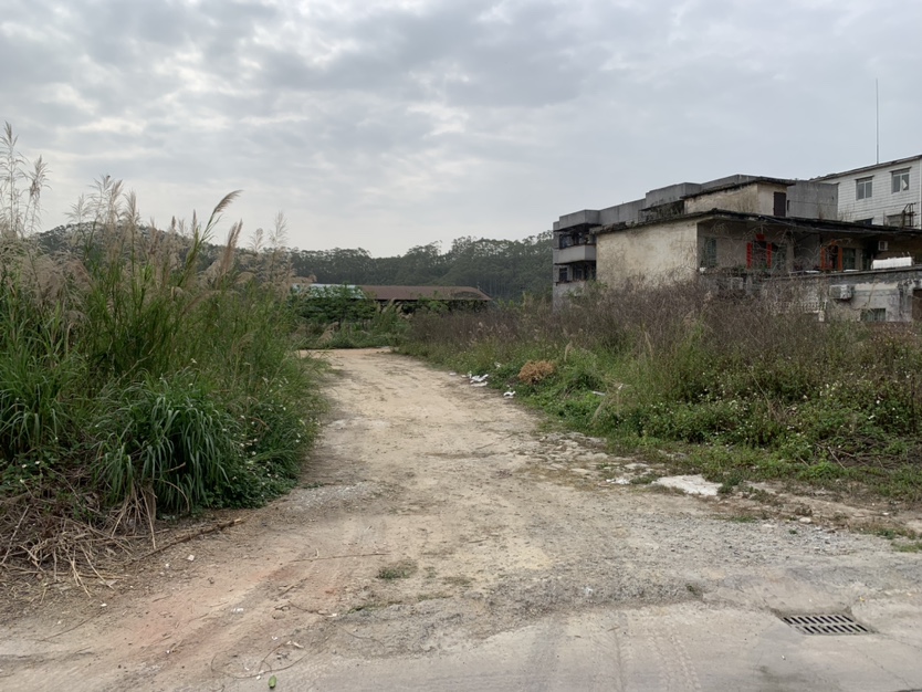 大路边土地出租可分租可定建2