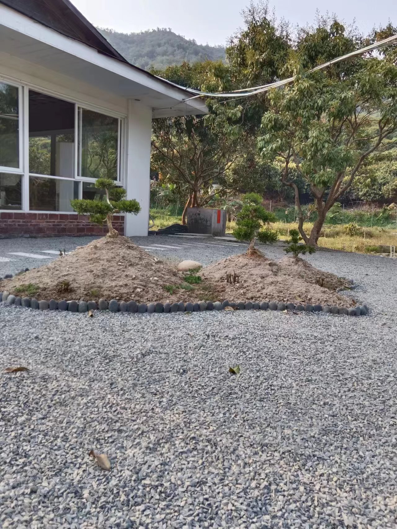 中山市板芙镇原房东农业用地招租，现成农庄凉亭鱼塘风景清静优美3