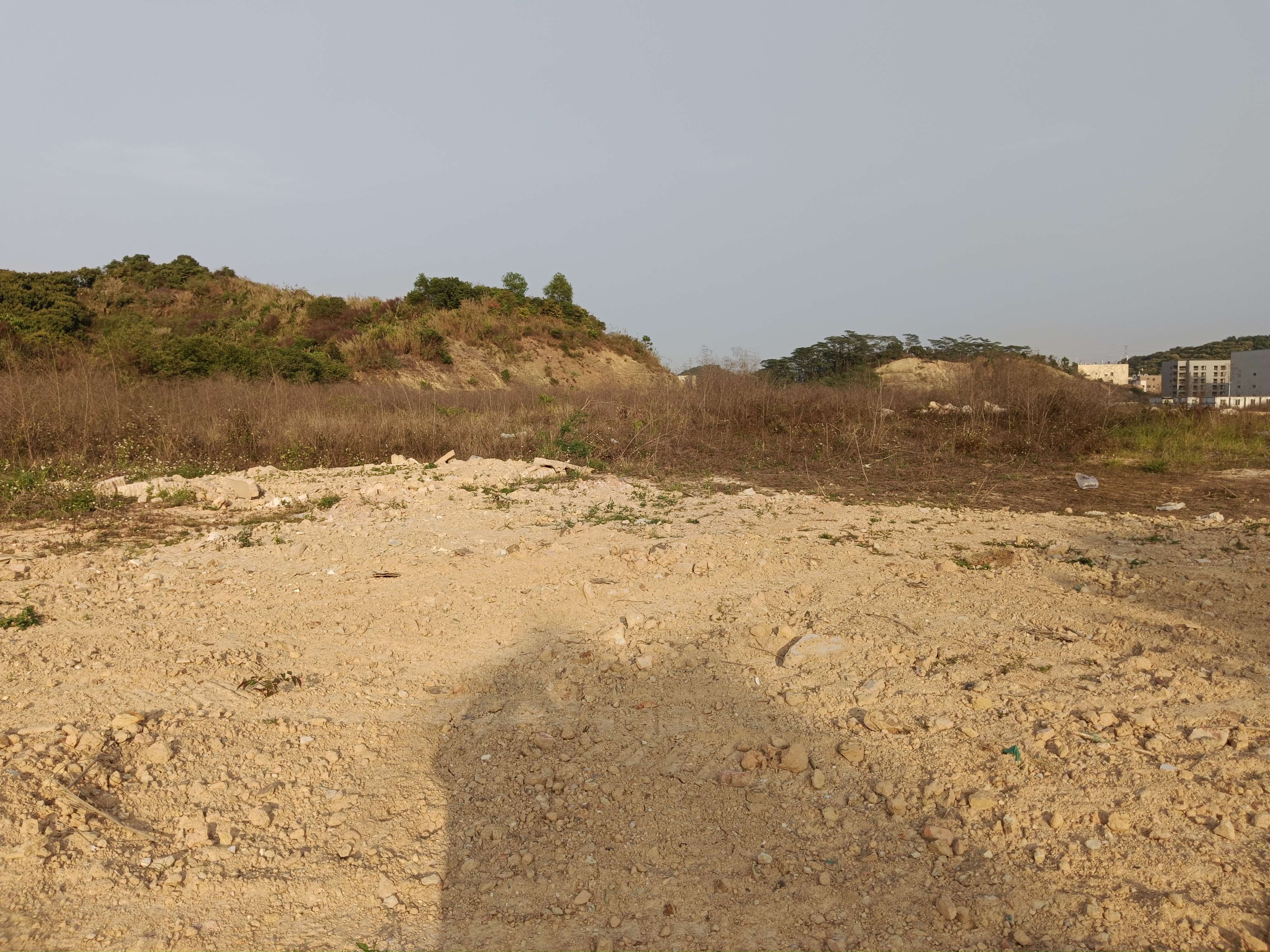 凤岗工业用地已三通一平空地120亩出租可分适合停放车辆建材等6