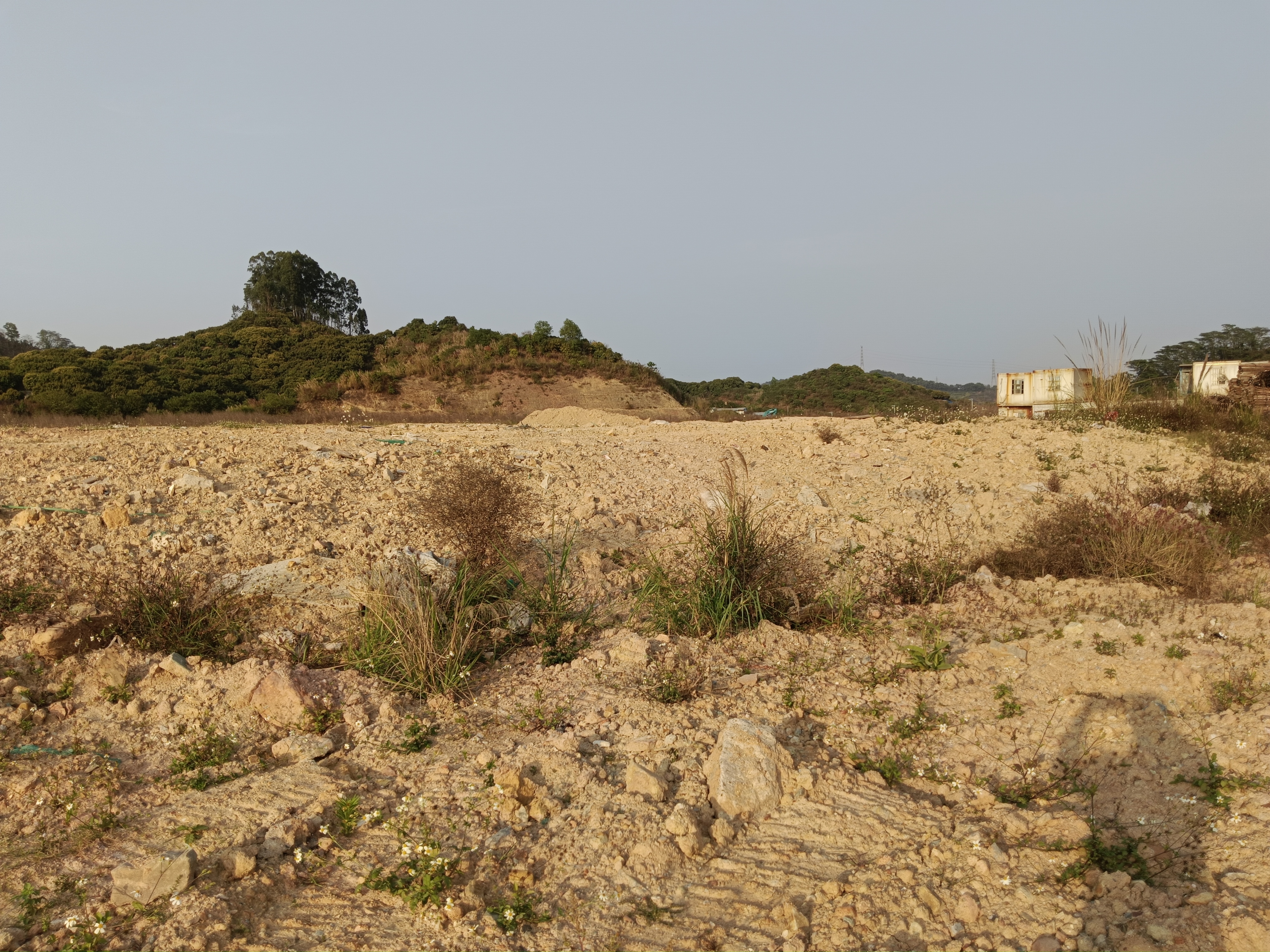 凤岗工业用地已三通一平空地120亩出租可分适合停放车辆建材等3