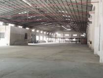 佛山市南海区九江镇最新出单一层钢结构小型厂房出租