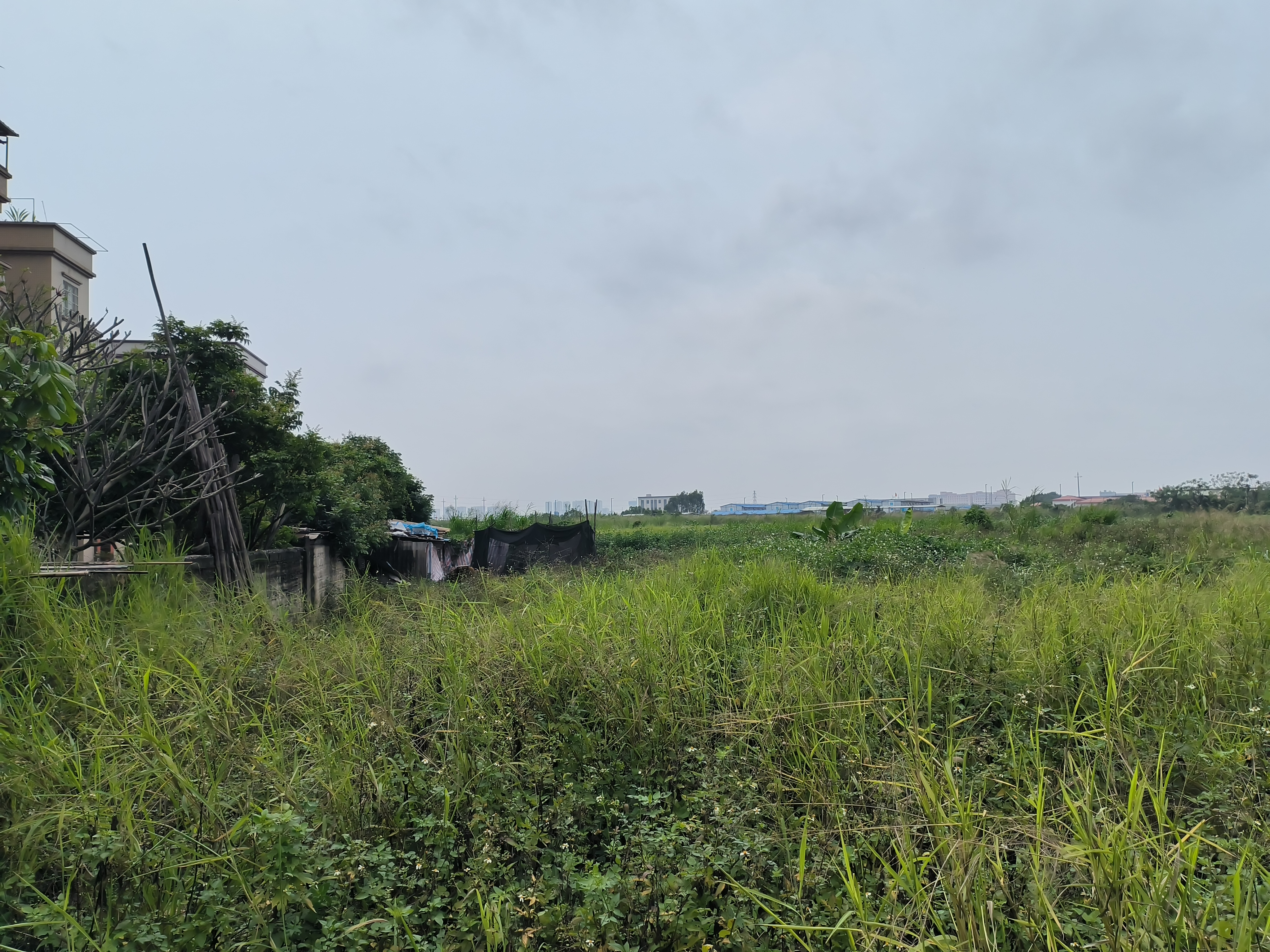 乐从与北滘交界处50亩左右建设商业性质用地，可做农庄摄影基地6