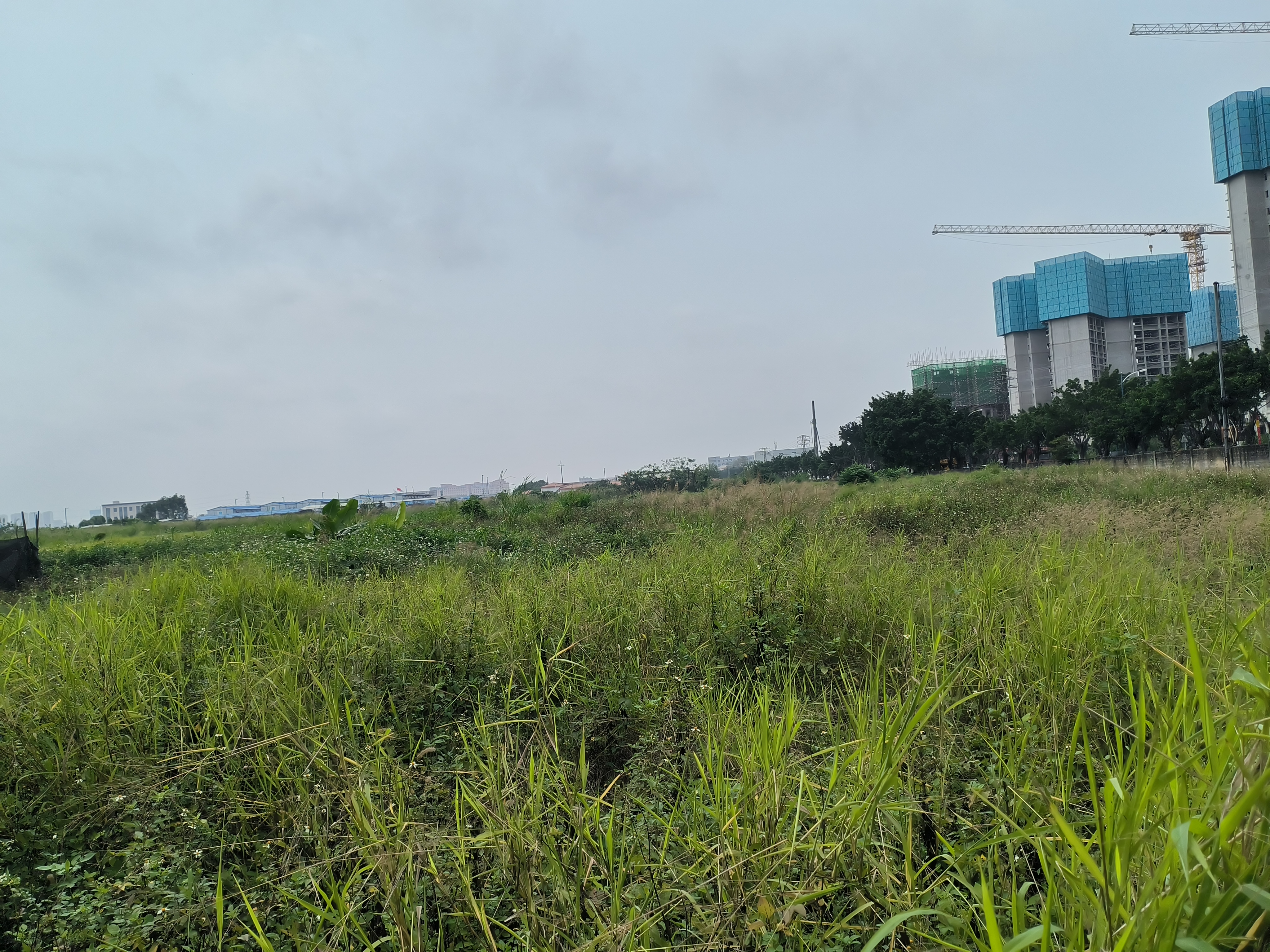 乐从与北滘交界处50亩左右建设商业性质用地，可做农庄摄影基地3