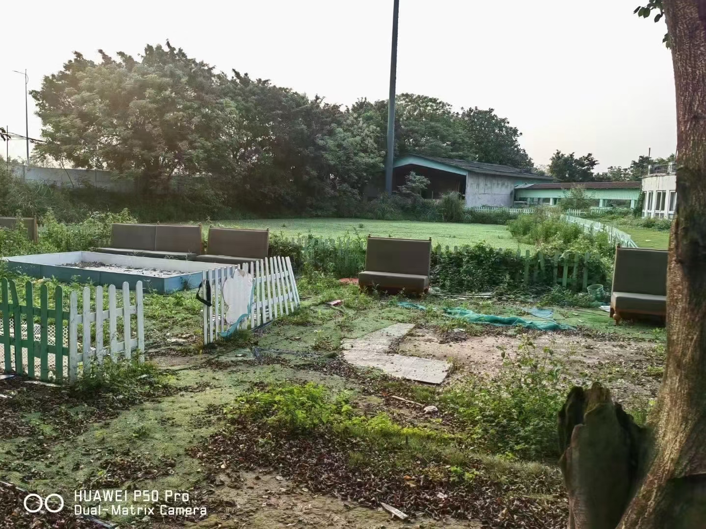 番禺区大石街道90亩土地出租1