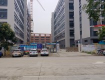 东凤南头交界处原房东8.9万方独院出租，证件齐全