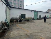 惠阳新圩镇东风500平钢构厂房厂房类型： 钢构      