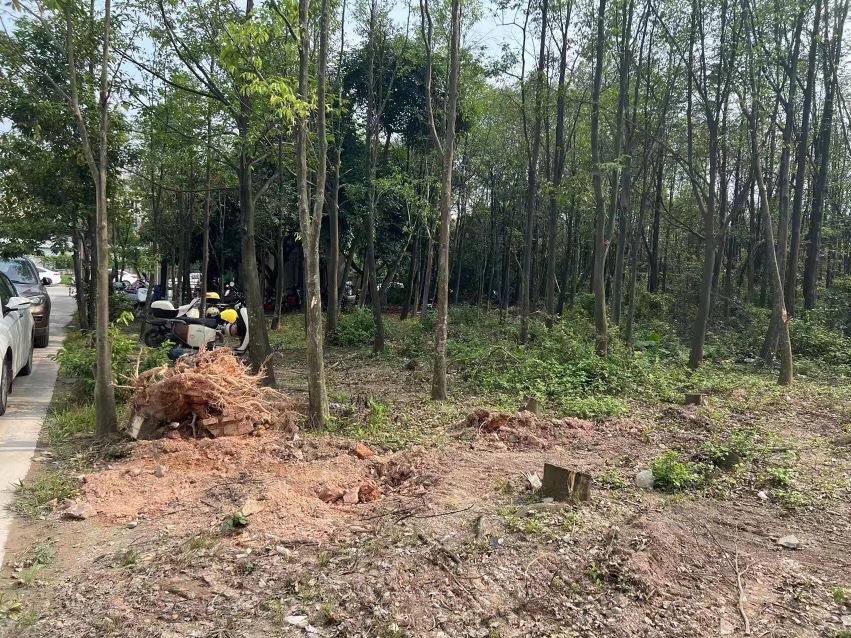 中山市火炬开发区主干道边空地可硬化2