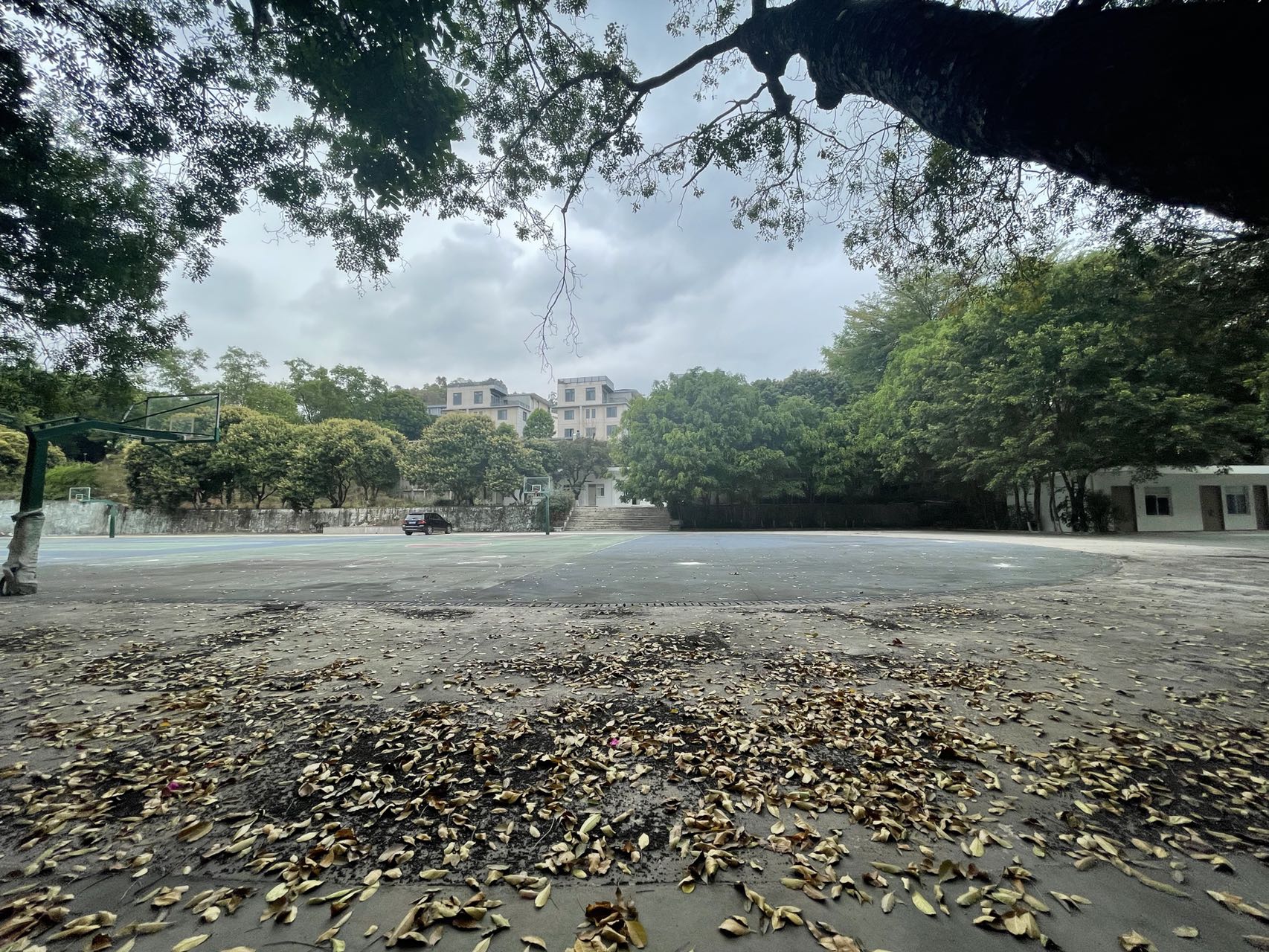 中山市大涌镇可做幼儿园，小学，网红打卡地，文化网红培训基地。5