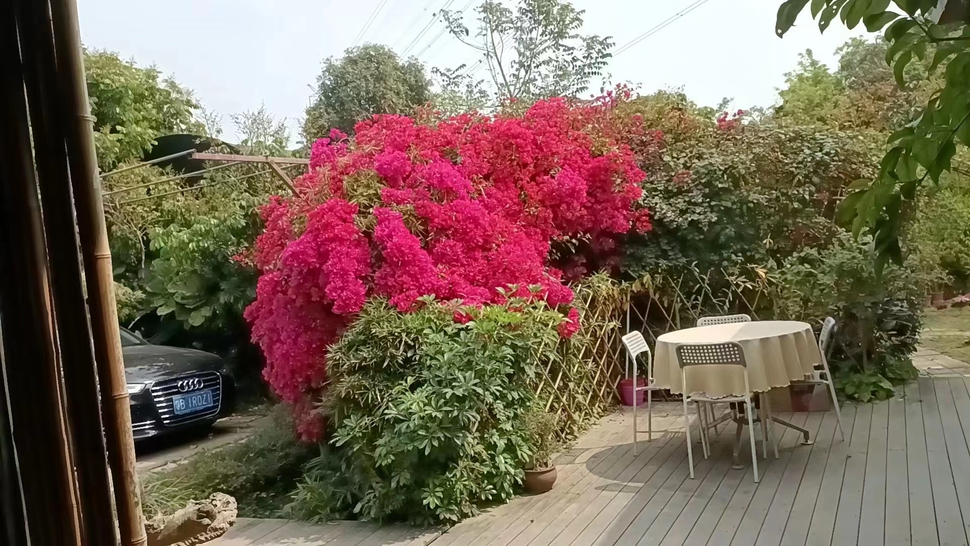 南山西丽，独门独院农庄 园林 花园出租，面积：1200平6