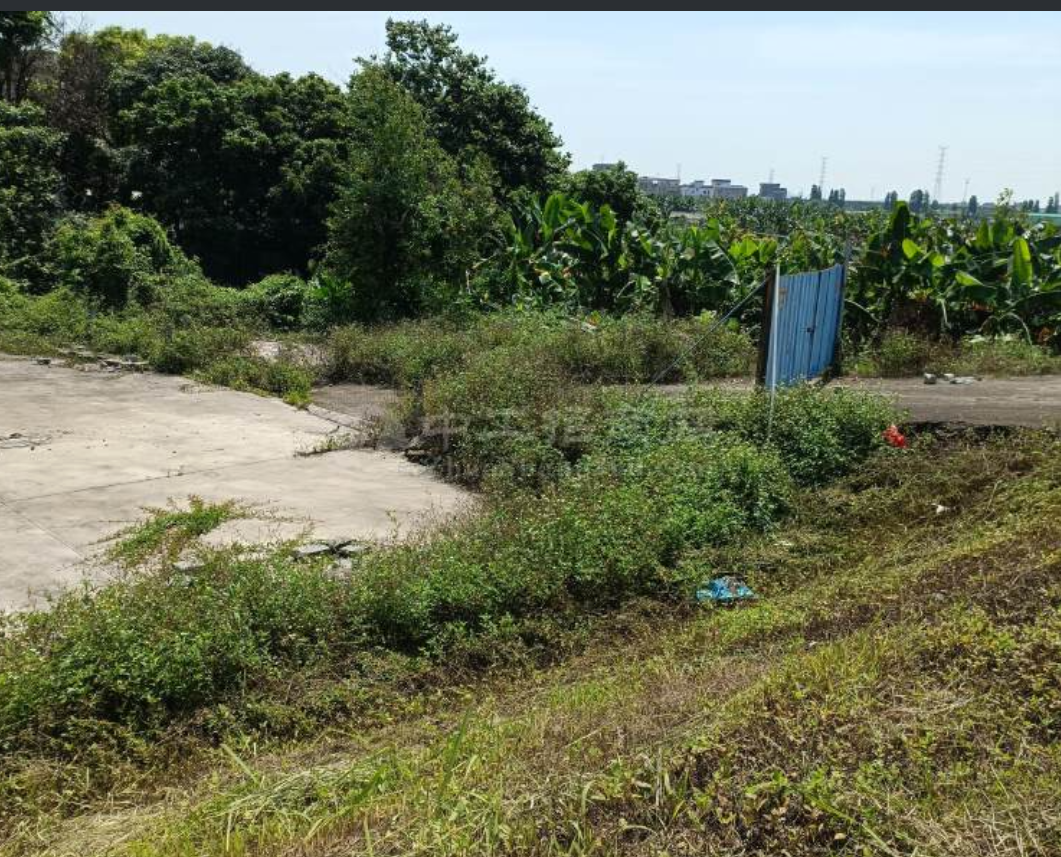 中山市黄圃镇马新工业区800平空地出租已经硬化好，价格便宜2