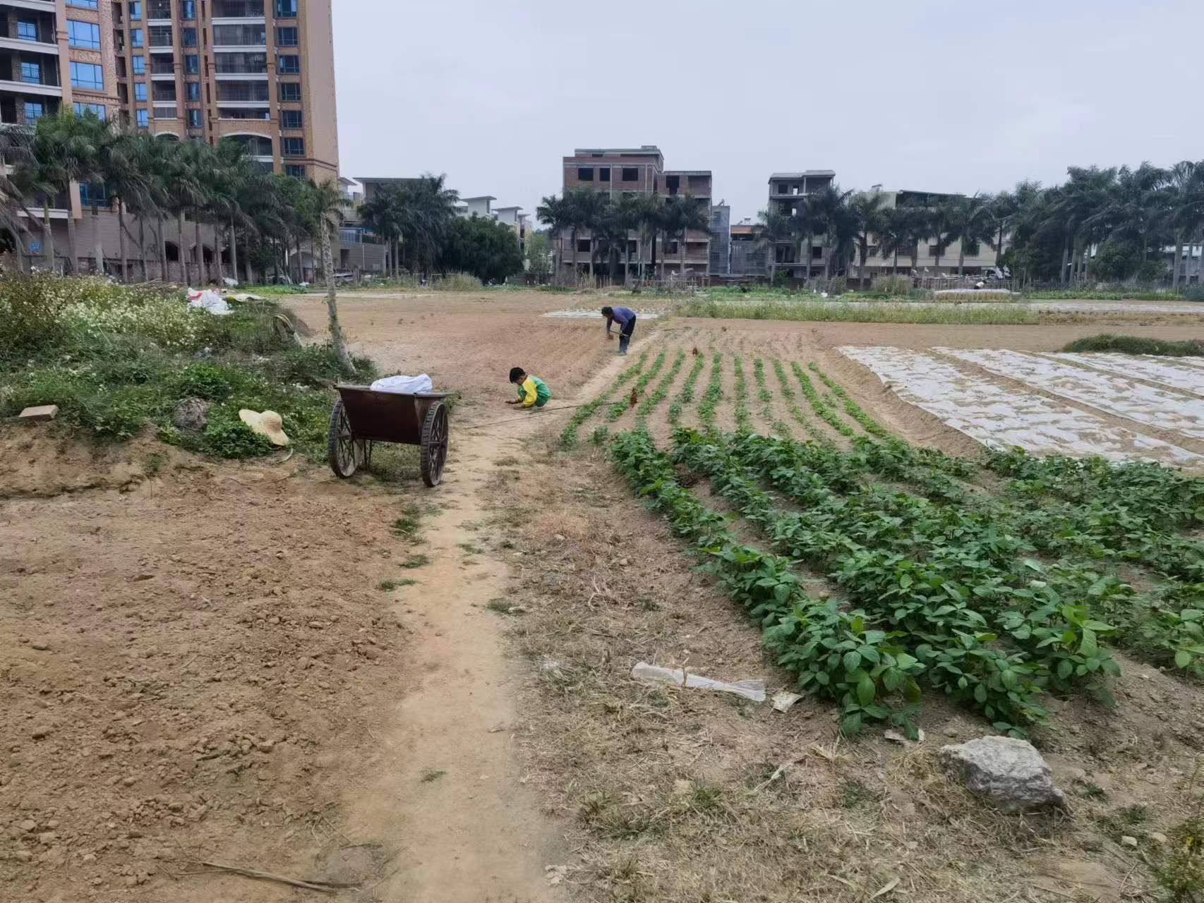 惠阳新圩临深临莞M1红本工业地皮分证出售1