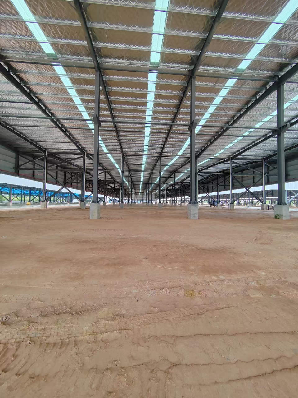 东莞全新钢构单一层仓库总面积14万平，滴水13米，牛角位