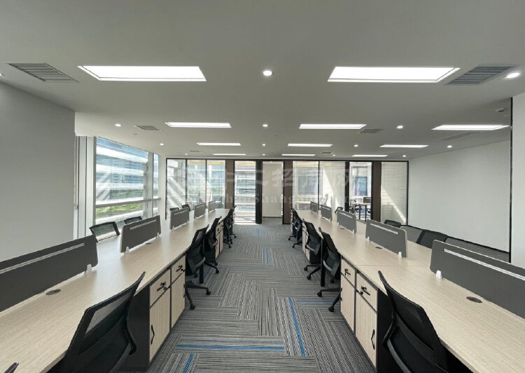 大冲商务中心339平全新装修，带隔间，环境优美，采光好。7