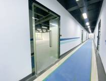 西丽大学城地铁口200米新出厂改精装办公室650平特价45元