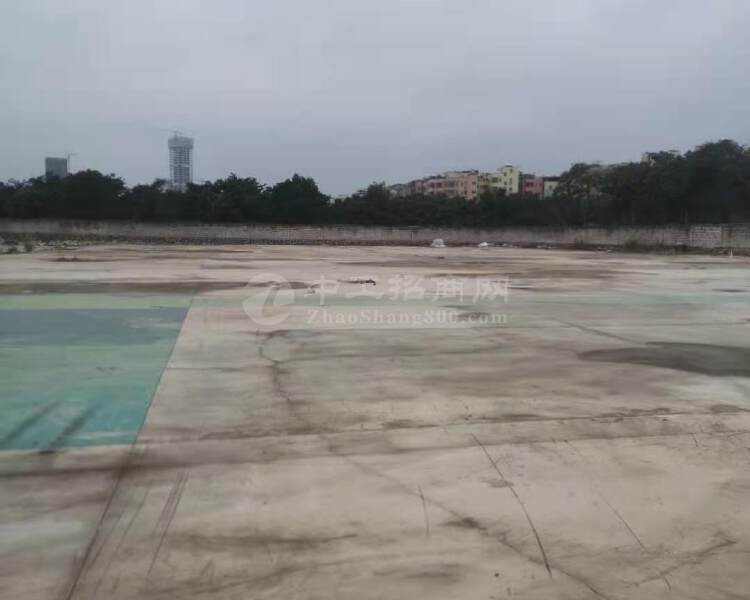 广州黄埔区鱼珠街道三万平方土地出租可做沙场4