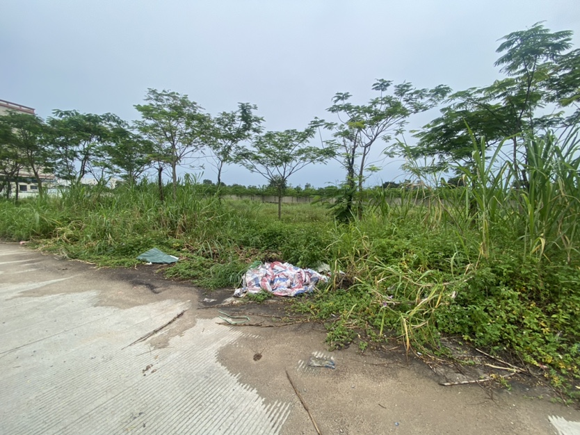 西区工业用地证件齐全可报建在主干道旁边交通便利1